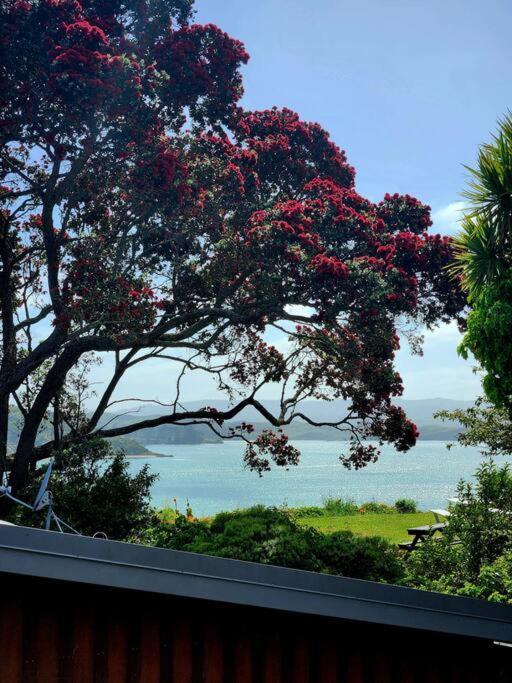 Orca Lodge Raglan Ngoại thất bức ảnh
